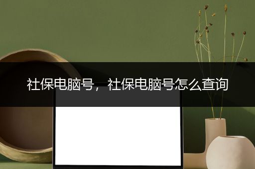 社保电脑号，社保电脑号怎么查询